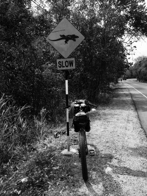 SLOW